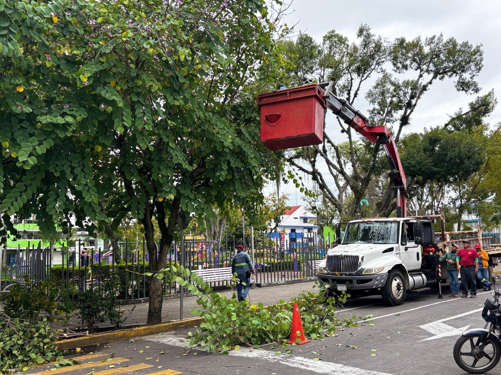 Mejoras en el Parque de San José para garantizar seguridad y bienestar de la ciudadanía