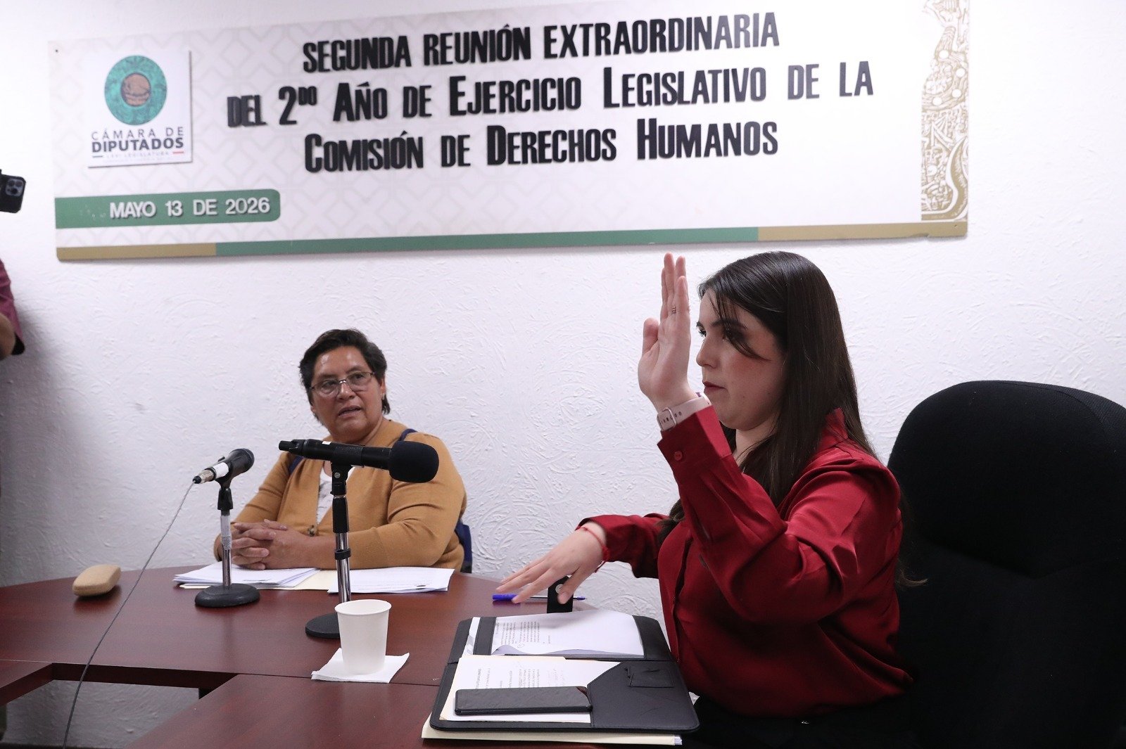Aprueba Comisión de Derechos Humanos dictamen para reconocer la neurodivergencia