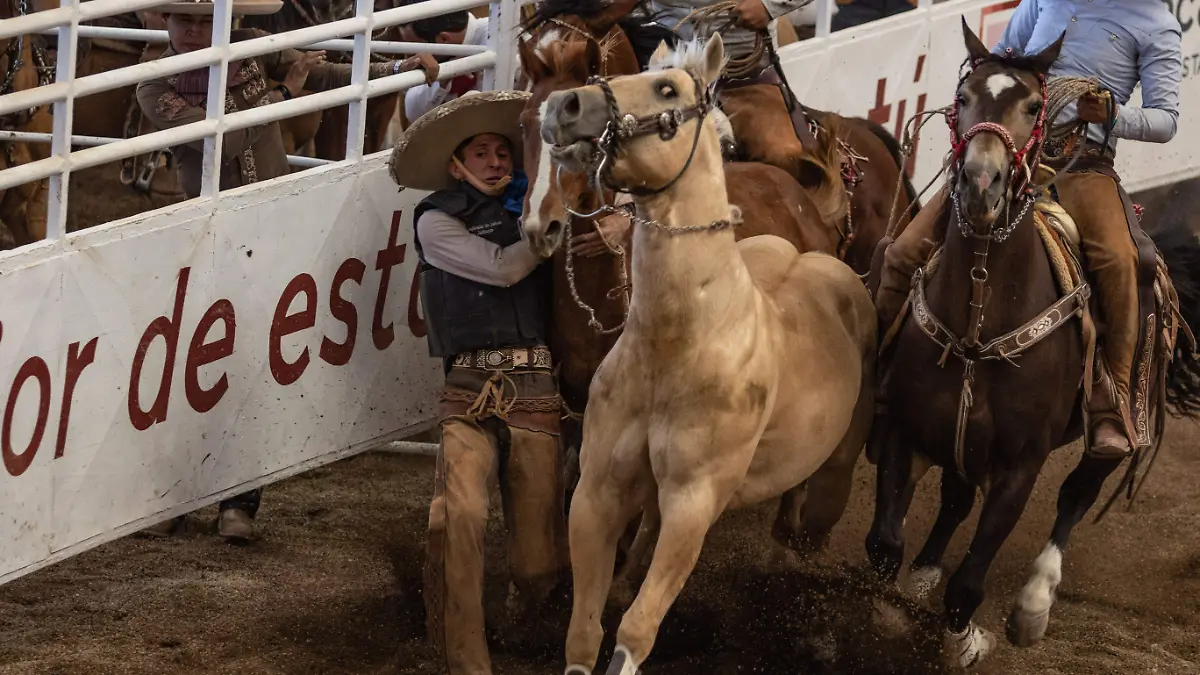 Ciencia lo confirma: Los caballos pueden detectar el miedo de los humanos a través del olfato