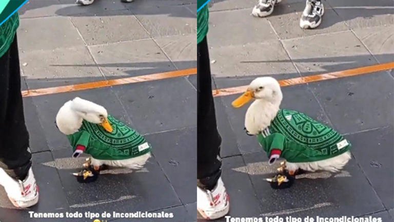 El fenómeno viral que nadie vio venir en el Mundial