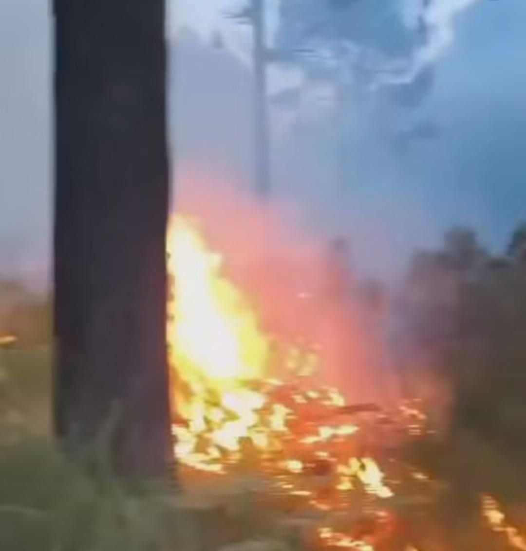 Alerta en Las Vigas por nuevo incendio enreserva ecológica de San Juan del Monte