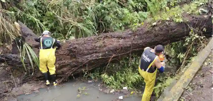 Atiende Gobierno de Veracruz incidencias por lluvias y refuerza prevención