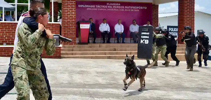 Veracruz referente nacional en capacitación K9, concluye 5.° diplomado táctico especializado