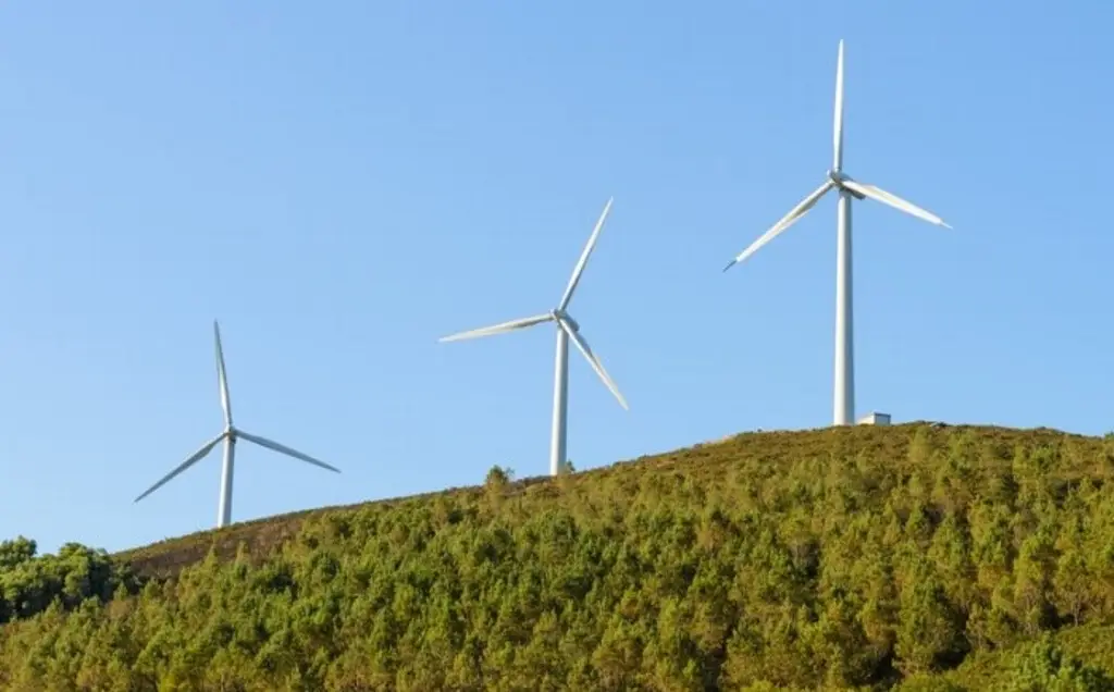 Proyectan 22 aerogeneradores en Alvarado; alertan riesgo para aves