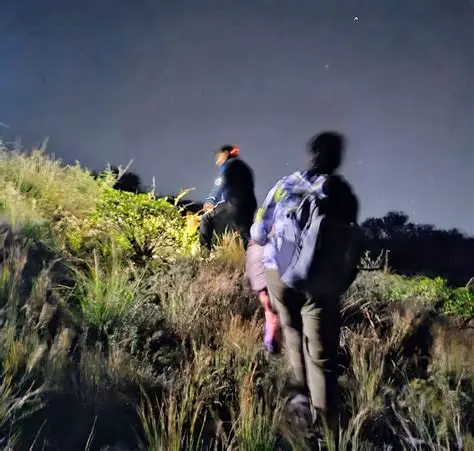 Rescatan sanas y salvas a dos personas extraviadas en el Cerro del Espinal